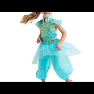 Disney jasmine costume